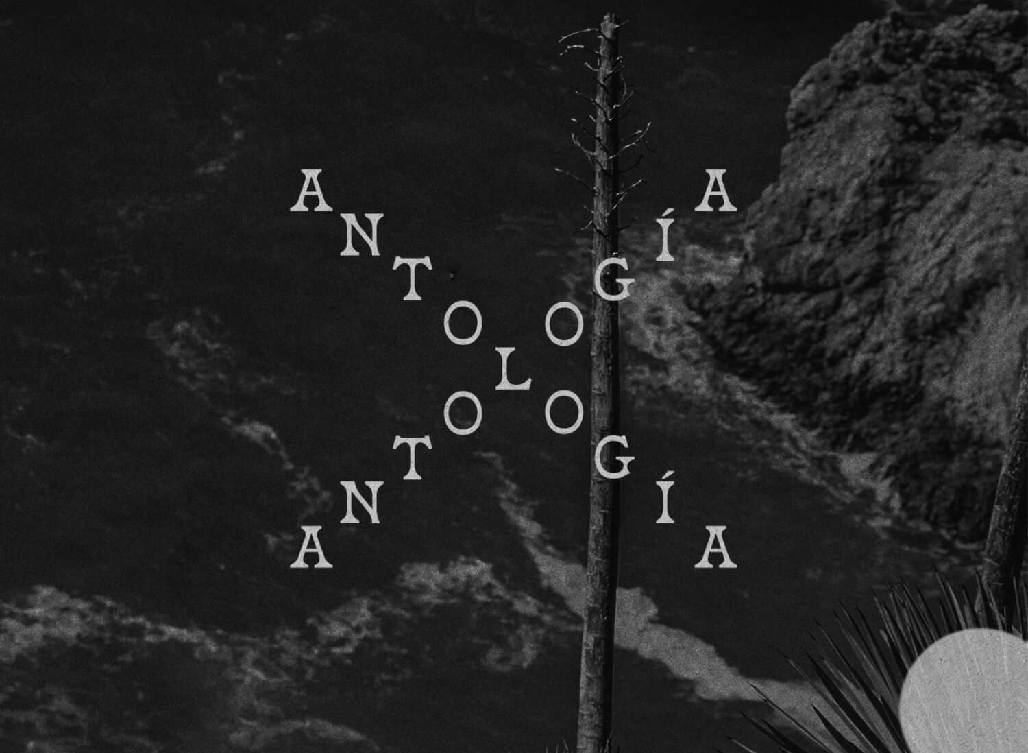 antologia brand manual design editorial elements typography photography