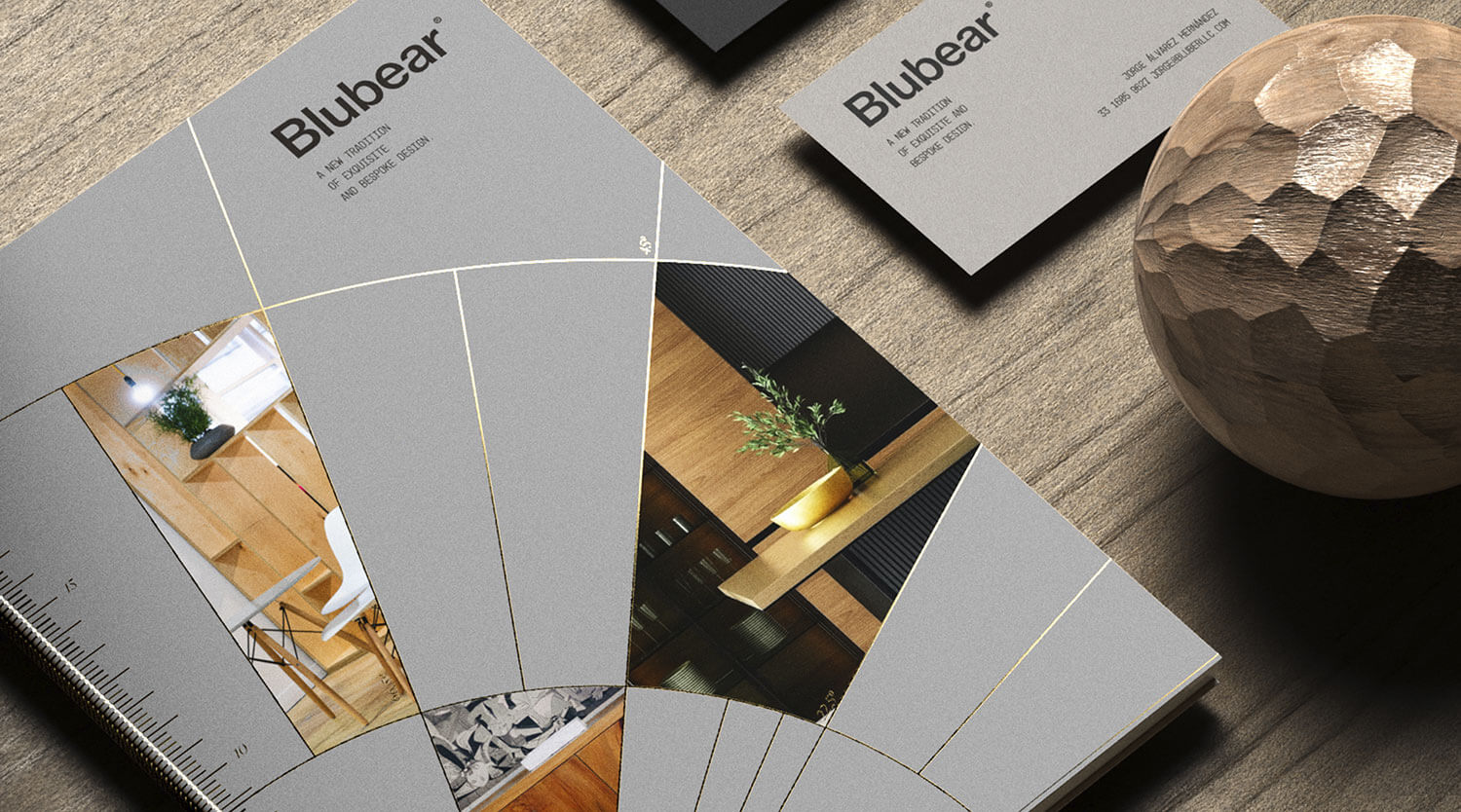 blubear branding business cards brochure stationary elements