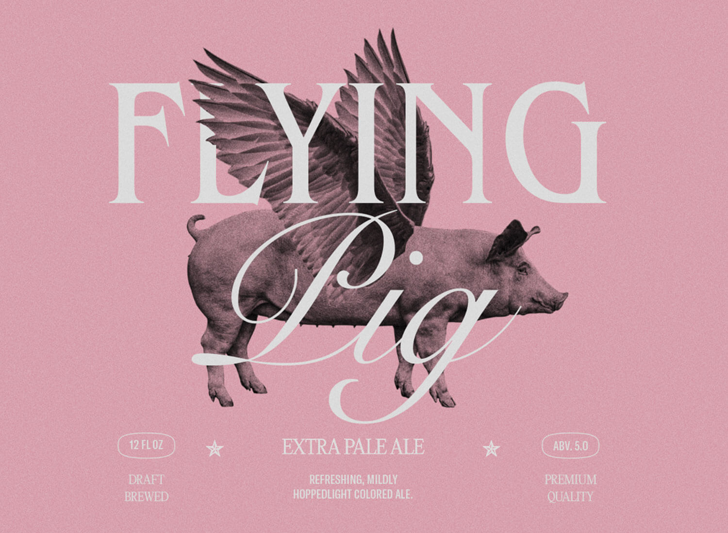 blue star texas beer rebranding design